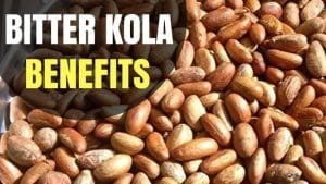 Bitter kola