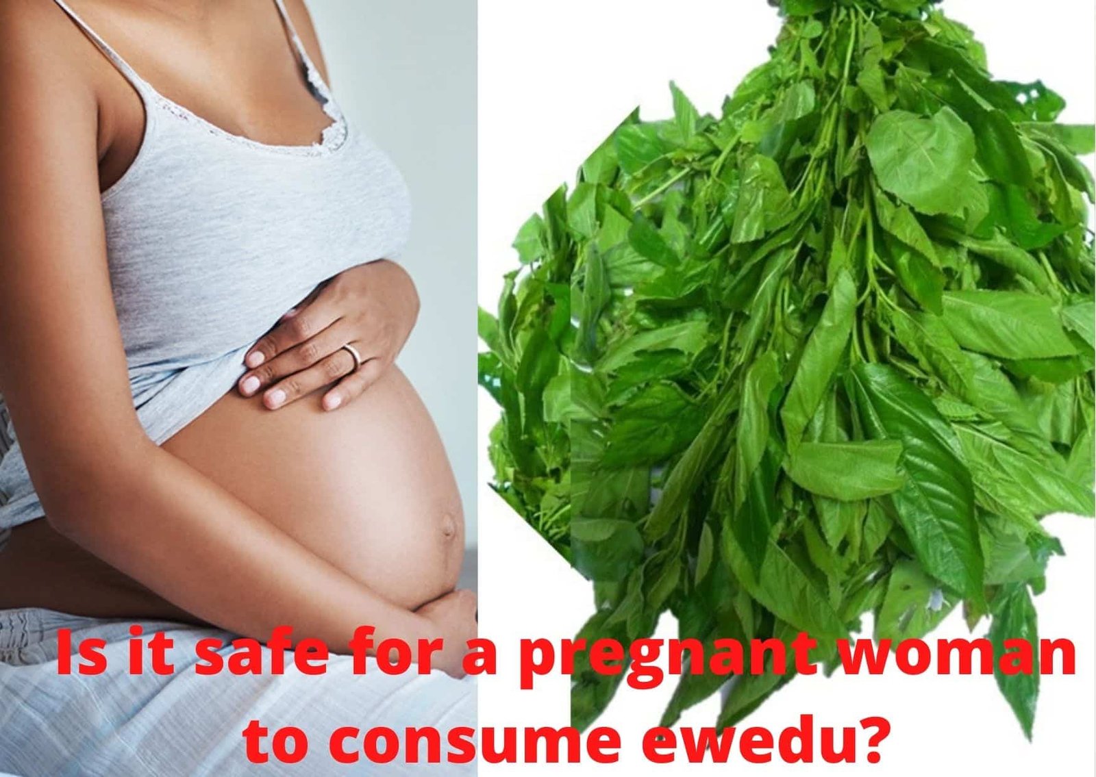ewedu