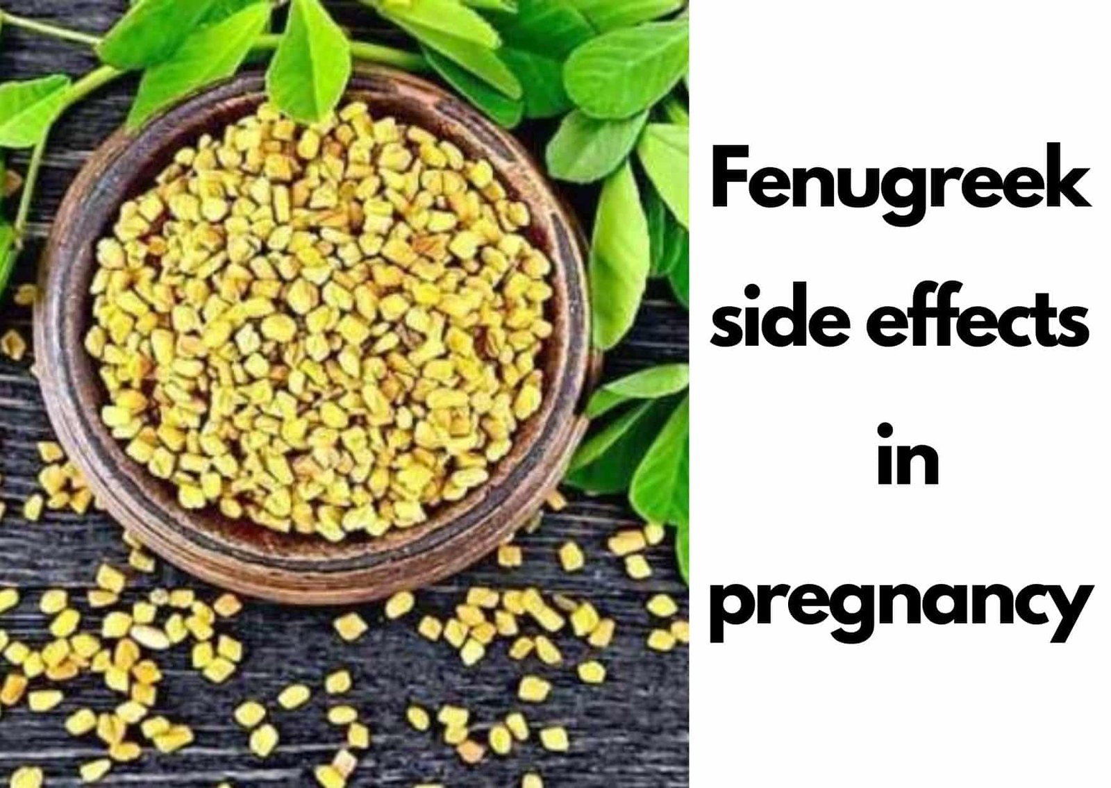 Fenugreek