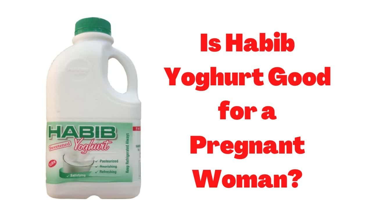 Habib Yoghurt