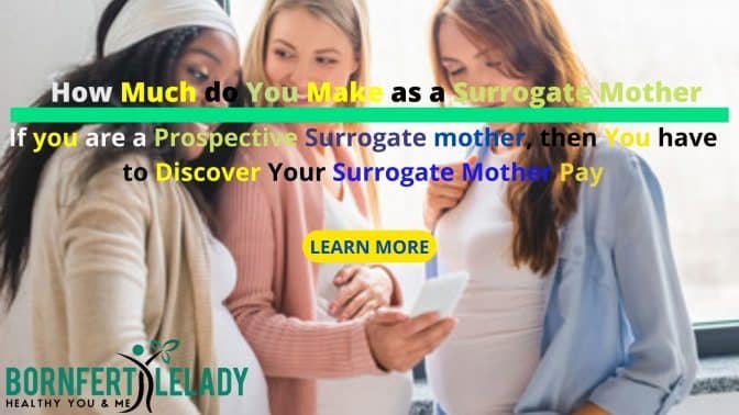 how much do you make as a surrogate mother - Bornfertilelady