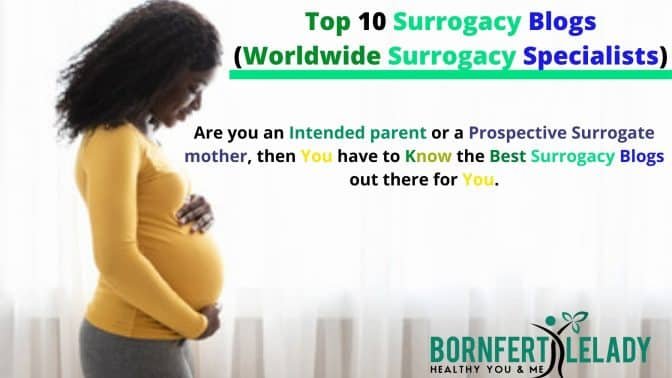 Top 10 surrogacy blogs (worldwide surrogacy specialists) - Bornfertilelady