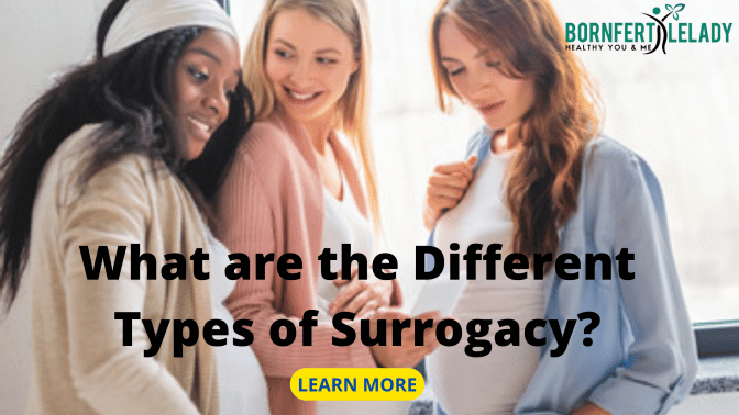 what are the different types of surrogacy? Bornfertilelady