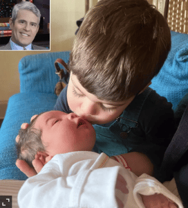 Andy Cohen celebrity surrogacy - Bornfertilelady
