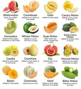 11 Health Benefits of Melons during Pregnancy - Bornfertilelady