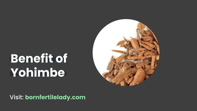 Benefit of Yohimbe