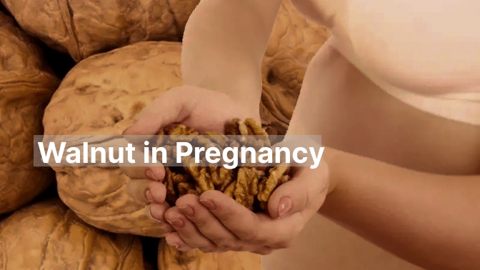 Walnut in Pregnancy