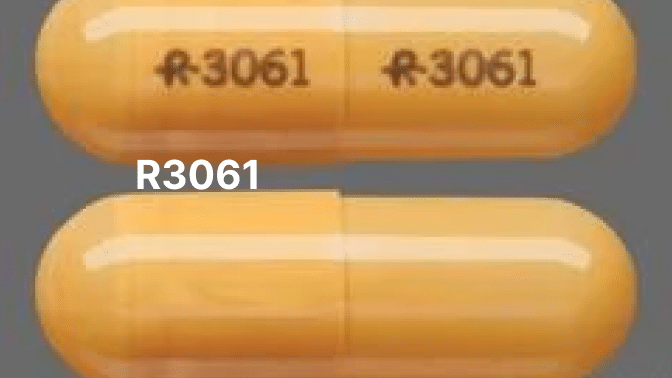 R3061