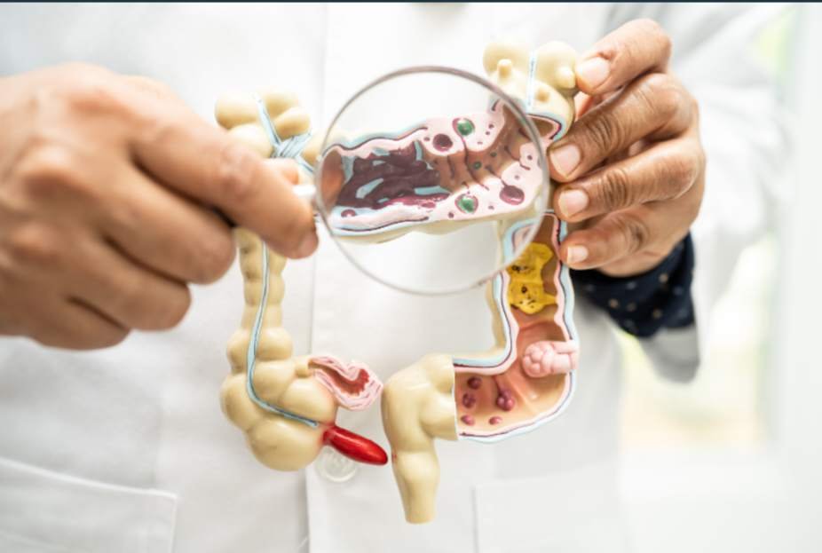 5 Easy Everyday Habits to Improve Your Gut Health